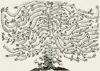Arbre généalogique marsciano ughelli
